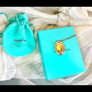 Tiffany and Co. Sterling silver medallion and chain.